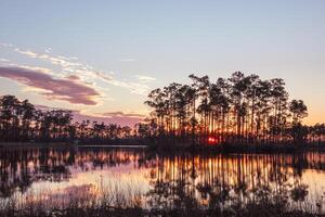 Everglades le coucher du soleil Floride photo