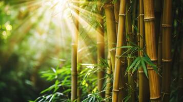 ai généré beaucoup bambou tiges et lumière faisceau photo
