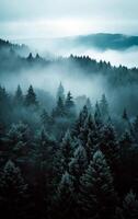 ai généré paysage photo de sapin brumeux forêt avec brouillard. Naturel esthétique vue pour environnement conscience.