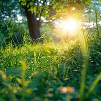 ai généré parfait ensoleillé journée dans printemps, idéal pour Extérieur Activités pour social médias Publier Taille photo