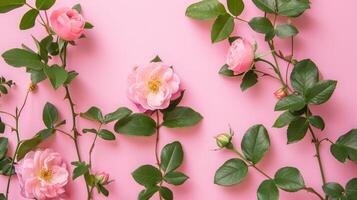 ai généré Rose fleurs avec vert feuilles sur rose Contexte photo