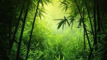 ai généré asiatique bambou forêt,naturel Contexte photo