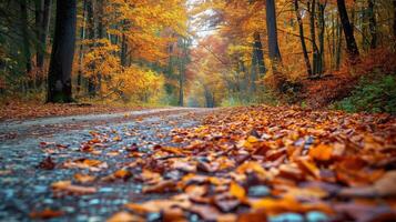 ai généré l'automne forêt route dans l'automne feuilles Contexte photo