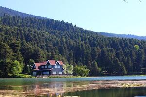 maison sur le rive de lac. réfléchi sur l'eau. pays côté, forêt, ferme champ, Lac avec maison. bolu, dinde photo