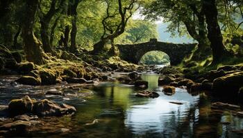 ai généré tranquille scène de écoulement l'eau dans ancien forêt généré par ai photo