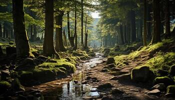 ai généré tranquille scène de une vert forêt dans l'automne généré par ai photo