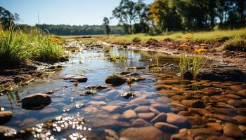 ai généré tranquille scène de une tortue dans une humide Prairie généré par ai photo