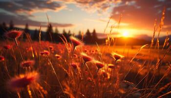 ai généré le coucher du soleil plus de prairie, la nature beauté dans vibrant couleurs généré par ai photo