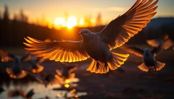 ai généré en volant mouette à coucher de soleil, symbole de paix généré par ai photo