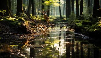 ai généré tranquille scène de une vert forêt dans l'automne généré par ai photo