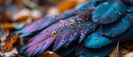 ai généré fermer de une violet et bleu plume photo