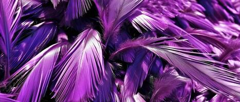 ai généré proche en haut vue de violet plumes photo