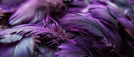 ai généré proche en haut de violet plumes photo