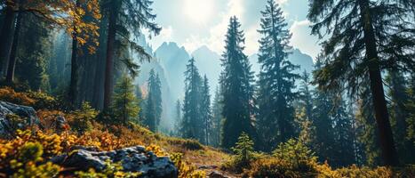 ai généré lumière du soleil baignades une forêt Piste avec Montagne pics au dessus photo