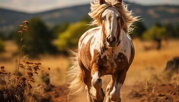 ai généré fonctionnement cheval dans prairie, capturer liberté et beauté généré par ai photo