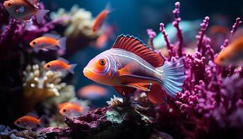 ai généré coloré pitre poisson nager dans vibrant sous-marin récif généré par ai photo
