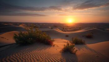 ai généré le coucher du soleil plus de le aride africain paysage, une tranquille scène de beauté généré par ai photo