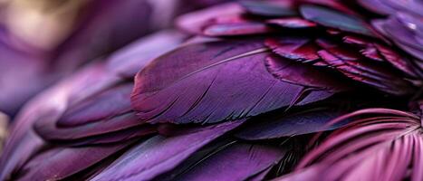 ai généré proche en haut de violet plumes photo