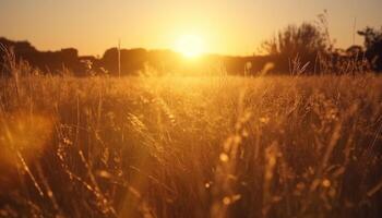 ai généré le coucher du soleil plus de une prairie, la nature beauté dans vibrant couleurs généré par ai photo