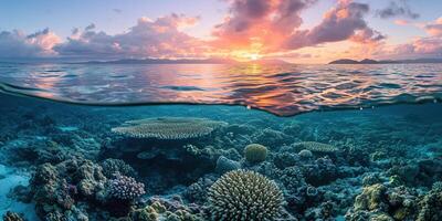 ai généré génial barrière récif sur le côte de Queensland, Australie paysage marin. corail Marin écosystème sous-marin Divisé voir, d'or heure le coucher du soleil soir ciel fond d'écran Contexte photo