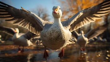 ai généré une magnifique été jour, une proche en haut de une Jaune canard généré par ai photo