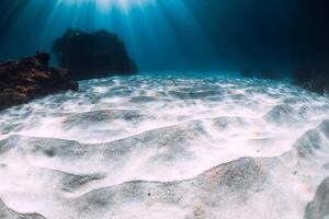 tropical transparent océan avec blanc le sable et corail récif photo