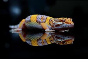 une visage mignon léopard gecko photo