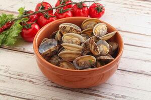 coquillage vongole mollusque clem au beurre photo