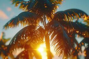 ai généré magnifique tropical le coucher du soleil sur océan plage professionnel la photographie photo