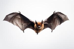 ai généré chauve souris sur mouche photo