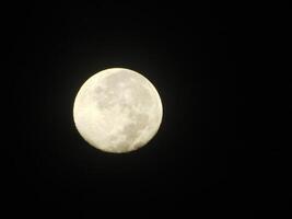 plein lune potrait à nuit photo