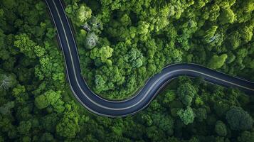 ai généré aérien vue de une courbée route trancher par une dense, vibrant vert forêt, représentant voyage, nature, et respectueux de la nature Infrastructure. photo