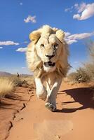 ai généré Masculin Lion fonctionnement dans le désert, Afrique, ai généré photo