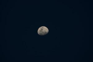 le lune dans le foncé nuit. photo