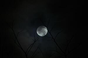 le plein lune dans le foncé nuit. photo