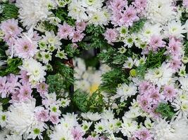 fleur arrangement avec chrysanthème photo