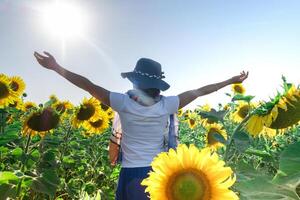 femme orienté vers le Soleil dans champ de tournesols sur sa retour avec ouvert bras photo