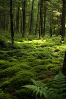 ai généré moussu légumes verts et terreux bruns imiter le enchanteur ambiance de une forêt sol couvert dans fougères photo