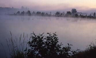 une Lac avec brouillard et des arbres dans le Contexte photo