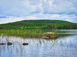 vue de une Lac dans petit pays dans Suède. bleu l'eau avec lumière vagues et roseaux. ciel photo