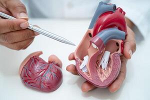 cardiovasculaire maladie CV, asiatique médecin en portant Humain anatomie modèle pour apprendre et traiter cœur maladie. photo
