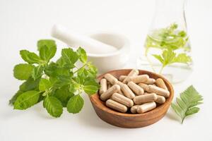 capsule biologique à base de plantes de médecine alternative avec vitamine e oméga 3 huile de poisson, minéral, médicament avec feuilles d'herbes suppléments naturels pour une bonne vie saine. photo