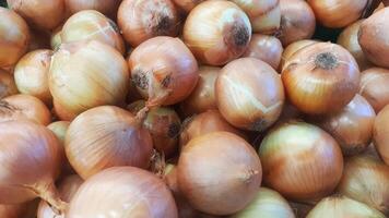 gros pile de oignons dans le marché photo