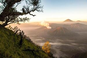 spectaculaire vue de monter bromo à Aube vue de le Haut de Roi kong colline. cette est un actif volcan partie de le tengger massif, dans est Java, Indonésie. photo