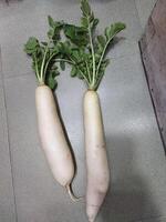 deux blanc des radis séance sur Haut de une table photo