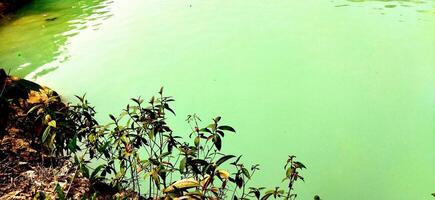 gens sont permanent sur le bord de une rivière photo