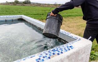 la personne dessin l'eau de une bassin à l'eau le jardin, avec espace pour texte photo