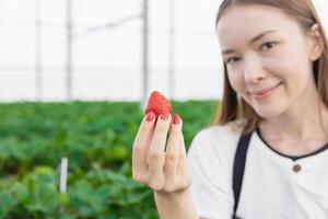 fille adolescent agriculteur montrant gros rouge Frais sucré fraise fruit de intérieur vert maison biologique ferme photo