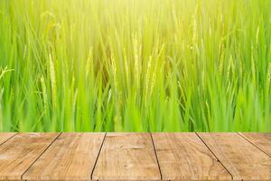 fermer vert riz champ Frais herbe avec en bois table pour la nature des produits La publicité montage Contexte photo
