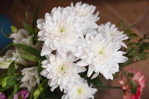 bouquet de blanc chrysanthèmes. délicat bouquet de blanc fleurs photo